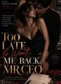 TOO LATE TO WANT ME BACK, MR CEO cover