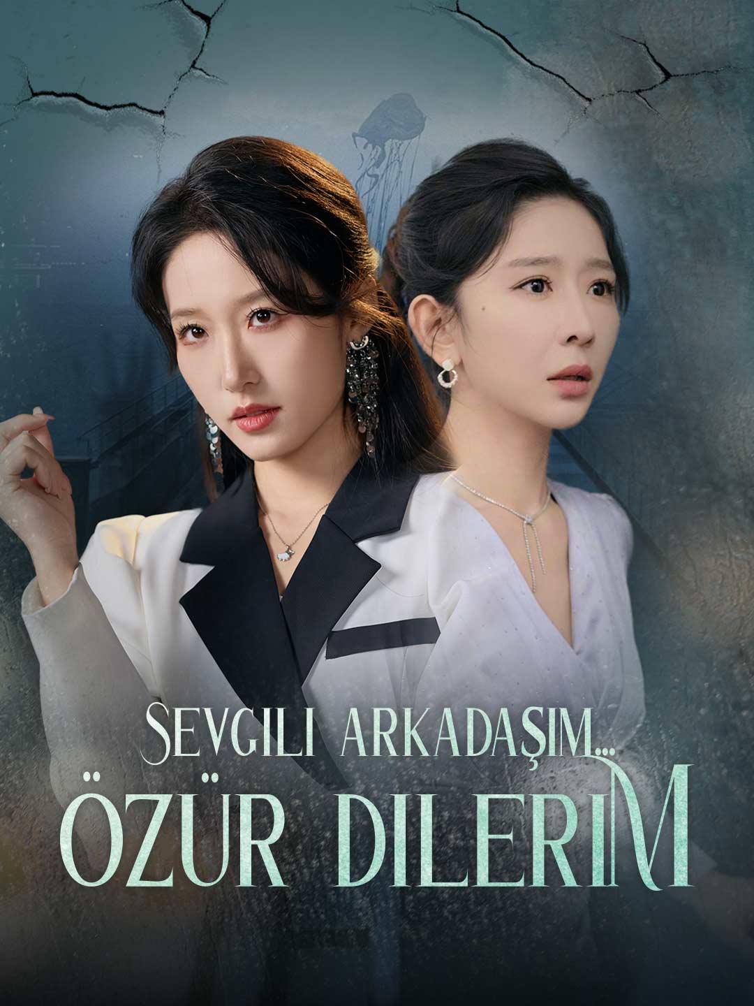 Sevgili arkadaşım... Özür dilerim