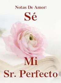 Notas De Amor: Sé Mi Sr. Perfecto