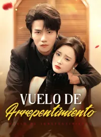 Vuelo de Arrepentimiento