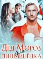 Дед Мороз для Пингвиненка cover