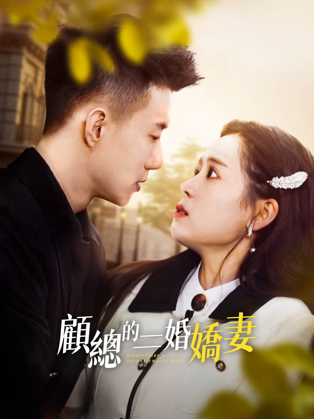 顧總的二婚嬌妻