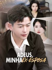 Adeus, minha ex-esposa.