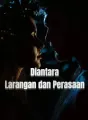 Diantara Larangan dan Perasaan cover