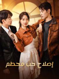 إصلاح حب محطم