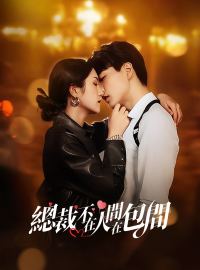 總裁不在人間在包間