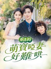 重逢時，萌寶啞妻好難哄