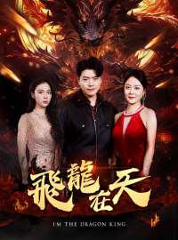 飛龍在天