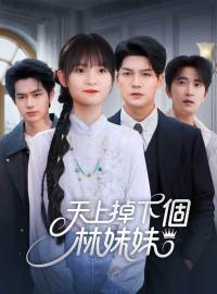 天上掉下個林妹妹