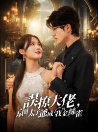 誤撩大佬，京圈太子爺成了我的金絲雀