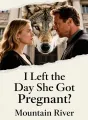 I Left the Day She Got Pregnant cover