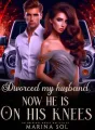 Divorced My Husband, Now He Is On His Knees cover
