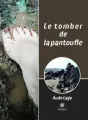 Le tomber de la pantoufle cover