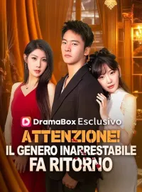 Attenzione! Il Genero Inarrestabile Fa Ritorno