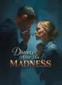 Divorce After His Madness cover