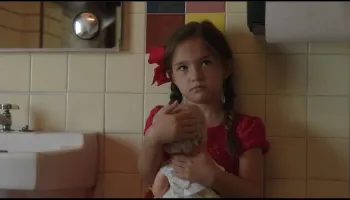 Lauren Jude Rosa Wallpaper