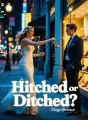 Hitched or Ditched? cover