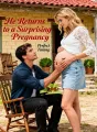 He Returns to a Surprising Pregnancy cover