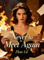 Never to Meet Again cover