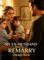 My Ex-Husband Wants to Remarry cover