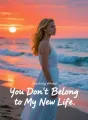 You Don't Belong to My New Life cover