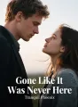 Gone Like It Was Never Here cover