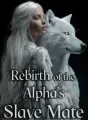 Rebirth of the Alpha's Slave Mate cover