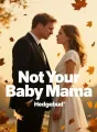 Not Your Baby Mama cover