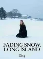 Fading Snow, Long Island cover