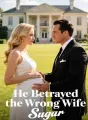 He Betrayed the Wrong Wife cover