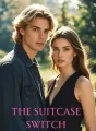 The Suitcase Switch cover
