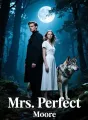 Mrs. Perfect cover