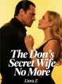 The Don's Secret Wife No More cover