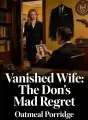 Vanished Wife: The Don's Mad Regret cover