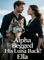 Alpha Begged His Luna Back cover