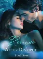 Revenge After Divorce cover