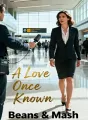 A Love Once Known cover