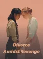 Divorce Amidst Revenge cover