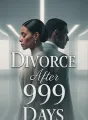 Divorce After 999 Days cover