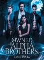 Owned By The Alpha Brothers cover