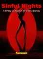 Sinful Nights: A filthy Collection of Erotic Stories cover