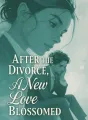After the Divorce, A New Love Blossomed cover