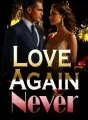 Love Again? Never! cover