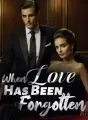 When Love Has Been Forgotten cover