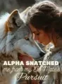 Alpha Snatched Me From My Ex-Mate's Pursuit cover