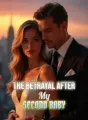 The Betrayal After My Second Baby cover