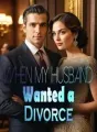 When My Husband Wanted a Divorce cover