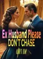 Ex Husband, Please don't chase after me cover
