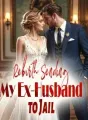 Rebirth: Sending My Ex-Husband to Jail cover