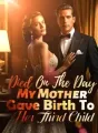 Died On The Day My Mother Gave Birth To Her Third Child cover